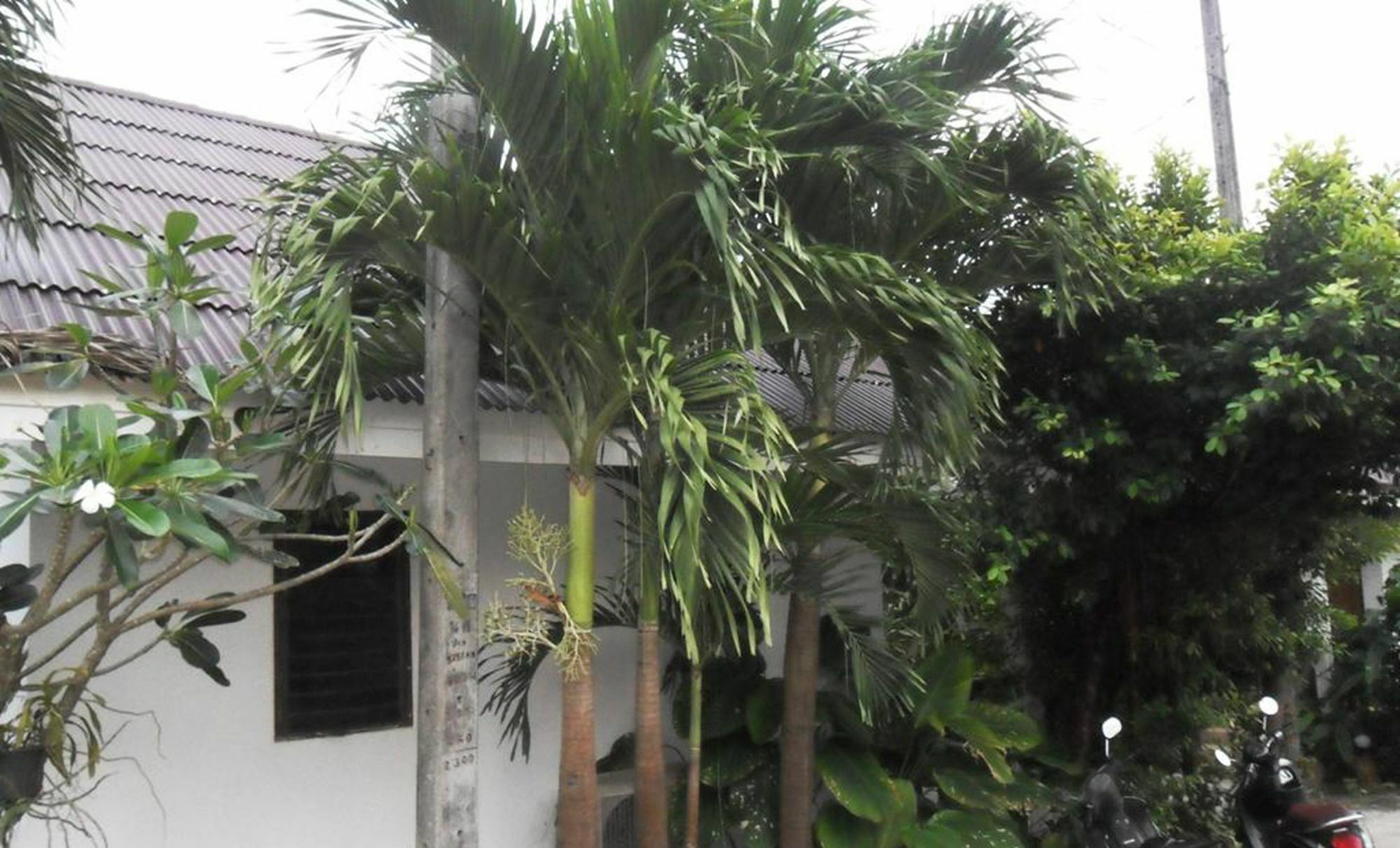 Aonang Sr Bungalows Ao Nang Extérieur photo